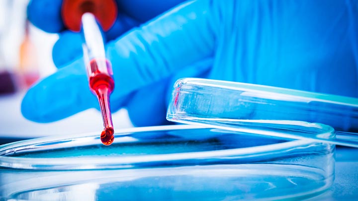 A researcher pipetting red liquid onto a glass dish.